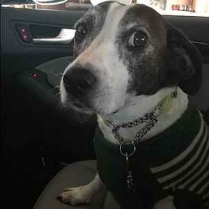 Meet your Posher, Patie